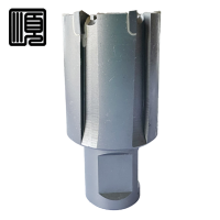 顺心捷 钻头 31mm 支