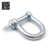 顺心捷 D型卸扣 M22 个