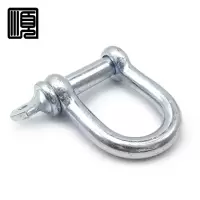 顺心捷 D型卸扣 M22 个