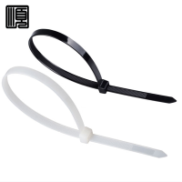 顺心捷 自锁式尼龙扎带 5×300mm 250根/包