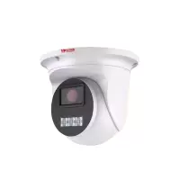 奥龙网通 T系列400万像素网络室内半球摄像机 AL-T2P 台