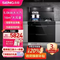 森歌(SENG) 集成灶I3智能语音集成灶母婴消毒柜外观美 大容量家用一体机灶油烟机灶具套装侧吸下排式 液化气