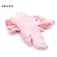 寂静的草原 猪手1kg