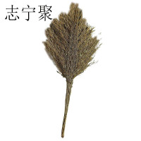 志宁聚 环卫竹扫把 竹制大号 把