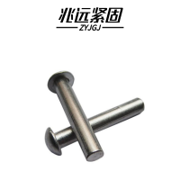 兆远紧固 半圆头铆钉(个)(20*90)