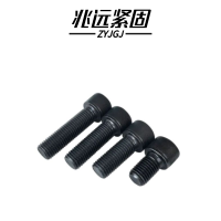 兆远紧固 内六角螺钉(个)(4*10)