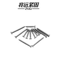 兆远紧固 不锈钢沉头自攻钉(个)(4*40)
