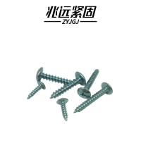 兆远紧固 大扁头自攻螺钉(个)(4*10)