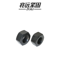 兆远紧固 1型六角螺母(个)(M22)