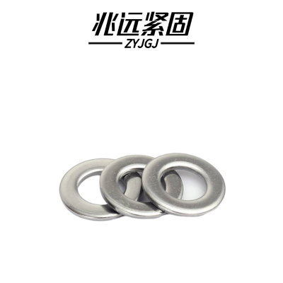兆远紧固 304不锈钢平垫圈(个)(φ22)