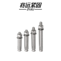 兆远紧固 不锈钢膨胀螺丝(个)(12*120)