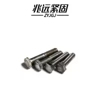 兆远紧固 六角头螺栓 M10(个)(10*20)