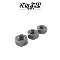 兆远紧固 六角螺母(个)(M22)