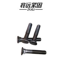 兆远紧固 沉头方颈螺栓(个)(12*120)