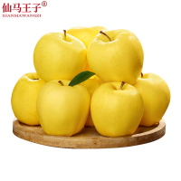 仙马王子 阿克苏维纳斯苹果 5斤 箱