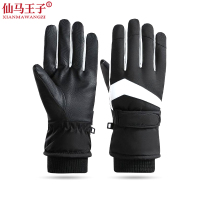 仙马王子 加绒加厚触屏手套XMWZ-050 双