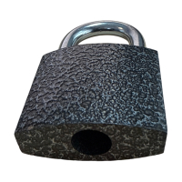 莘煊 安全挂锁 38mm*34mm*17mm 把