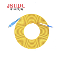 JSUDR东润单模光纤尾纤SC/LC-10米 +根