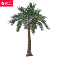 疆不凡大王椰 JBF-CJTZ169颗