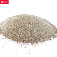 疆不凡四季青草籽0.5kg混合袋