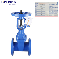 LD-6541 Z41X-16Q法兰明杆弹性座封闸阀DN65
