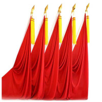 策宇科技CYKJ 会议室党旗背景带底座 CY-DQ089 套