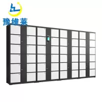 豫维莱存包柜48门台