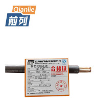 前列Qianlie 铜芯交联电缆 ZC-YJV-0.6/1KV-3×25+1×16mm2 米