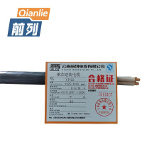 前列Qianlie 铜芯铠装电缆YJV22-0.6/1KV-3X25+1X16mm2 米
