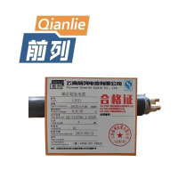 前列Qianlie 铜芯铠装电缆YJV22-0.6/1KV-4*35+1*16mm2 米