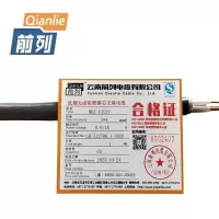 前列 低烟无卤阻燃铜芯交联电缆WDZ-YJY23 0.6/1KV 3X4mm² 米