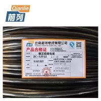 前列Qianlie 铜芯铠装电缆 ZC-YJV22-0.6/1KV-4×10mm² 米