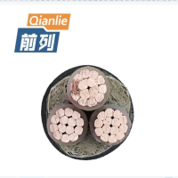 前列 铜芯交联电缆ZC-YJV-0.6/1KV-3×6mm² 米