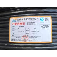 前列Qianlie 控制电缆 米