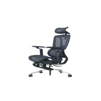 北方晨奥 人体工学椅 长635*宽600*高1220 个