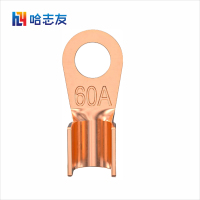 哈志友铜鼻子接线端子5A~100A八种规格