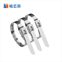 哈志友不锈钢扎带