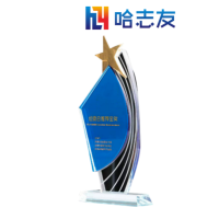 哈志友高档水晶奖杯27cm外形美观,设计新颖,优质材料