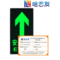 哈志友安全出口指示牌夜光地贴29*14.5cm设计新颖,夜间荧光,支持定制