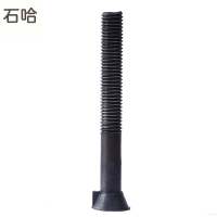 石哈4.8级M20*65沉头带榫螺栓(个)