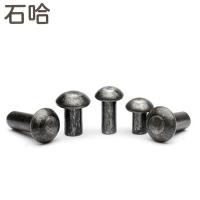 石哈4.8级半圆头铆钉M22*100(个)