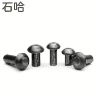 石哈4.8级半圆头铆钉M22*100(个)