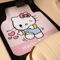 金宫龙 汽车丝圈脚垫主驾驶防滑耐脏地毯 片