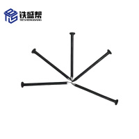 铁盛帮 铁钉40 件