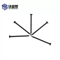 铁盛帮 铁钉60 件