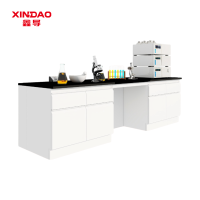 鑫导 实验台 SYT8-全钢边台定制 米