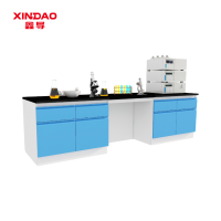 鑫导 实验台 SYT17-全钢边台定制 米