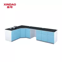 鑫导 实验桌 SYT85-角柜PP定制 米