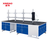 鑫导 钢木实验台 SYT141-钢木中央台定制 米