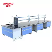 鑫导 实验台 SYT173-钢木中央台定制 米